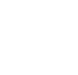 Child Mind Institute logo