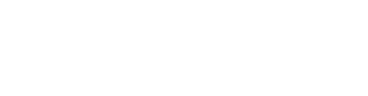 EMDEE Healthcare Technology logo