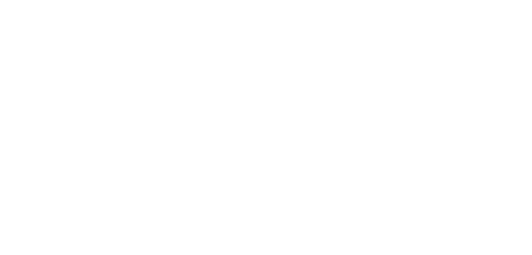 NSHSS (National Society of High School Scholars) logo