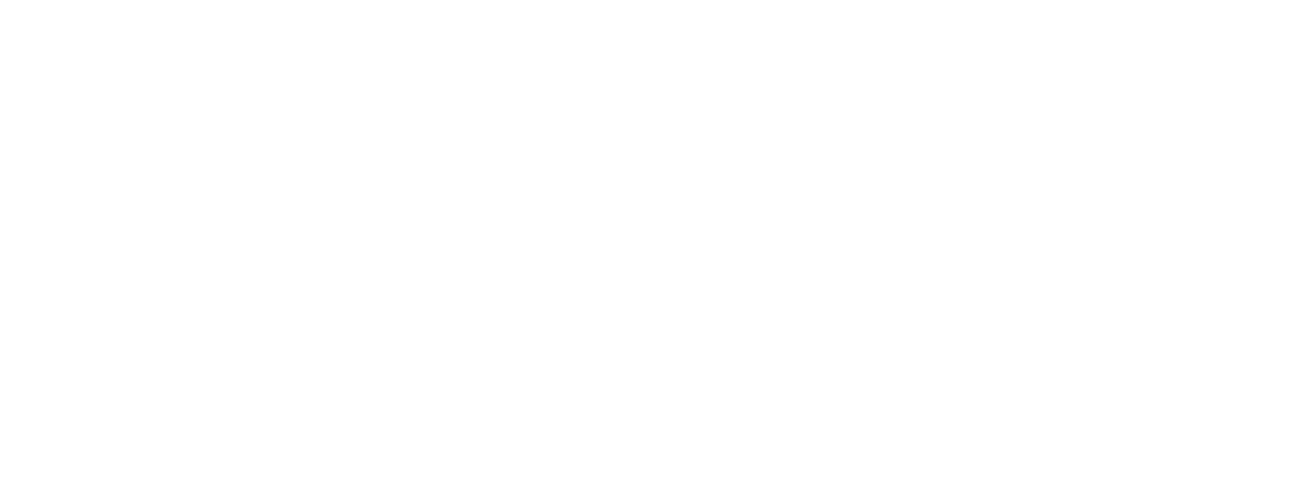 RingBoost logo