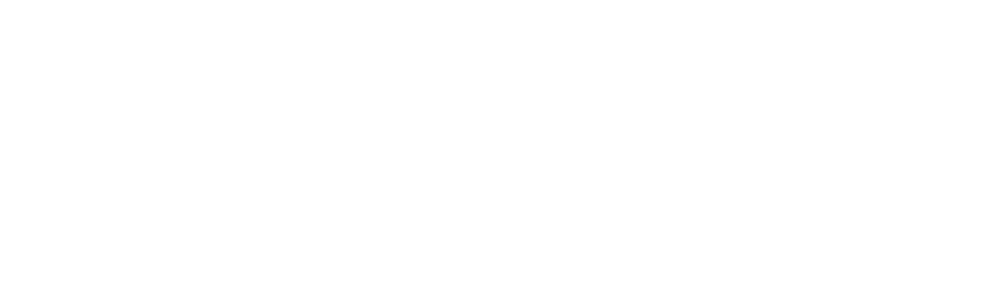 Wizer logo